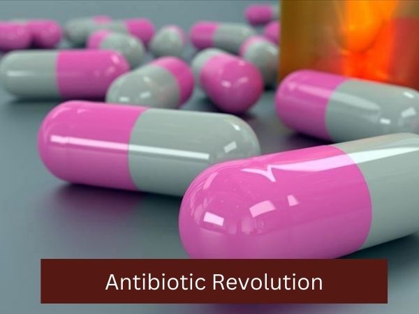 revolution of antibiotics