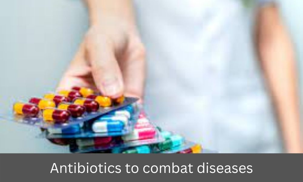 Antibiotics to combat diseases