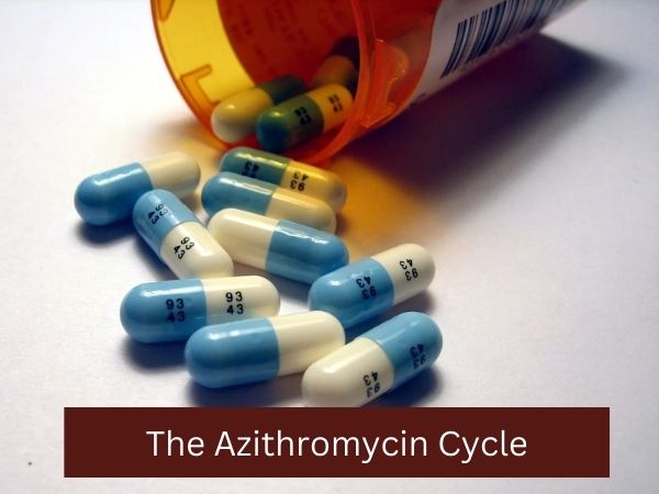 The Azithromycin Cycle