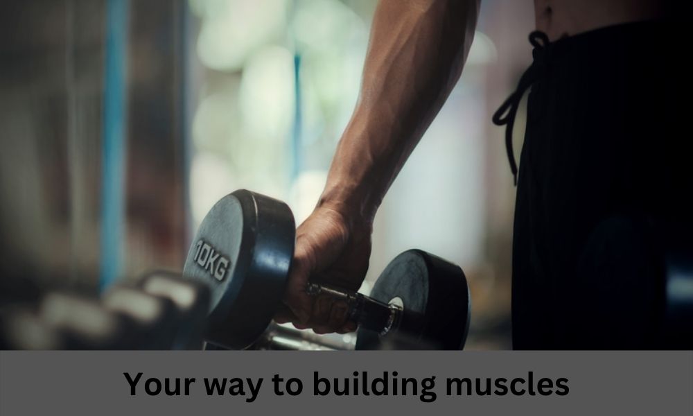 Your way to building muscles